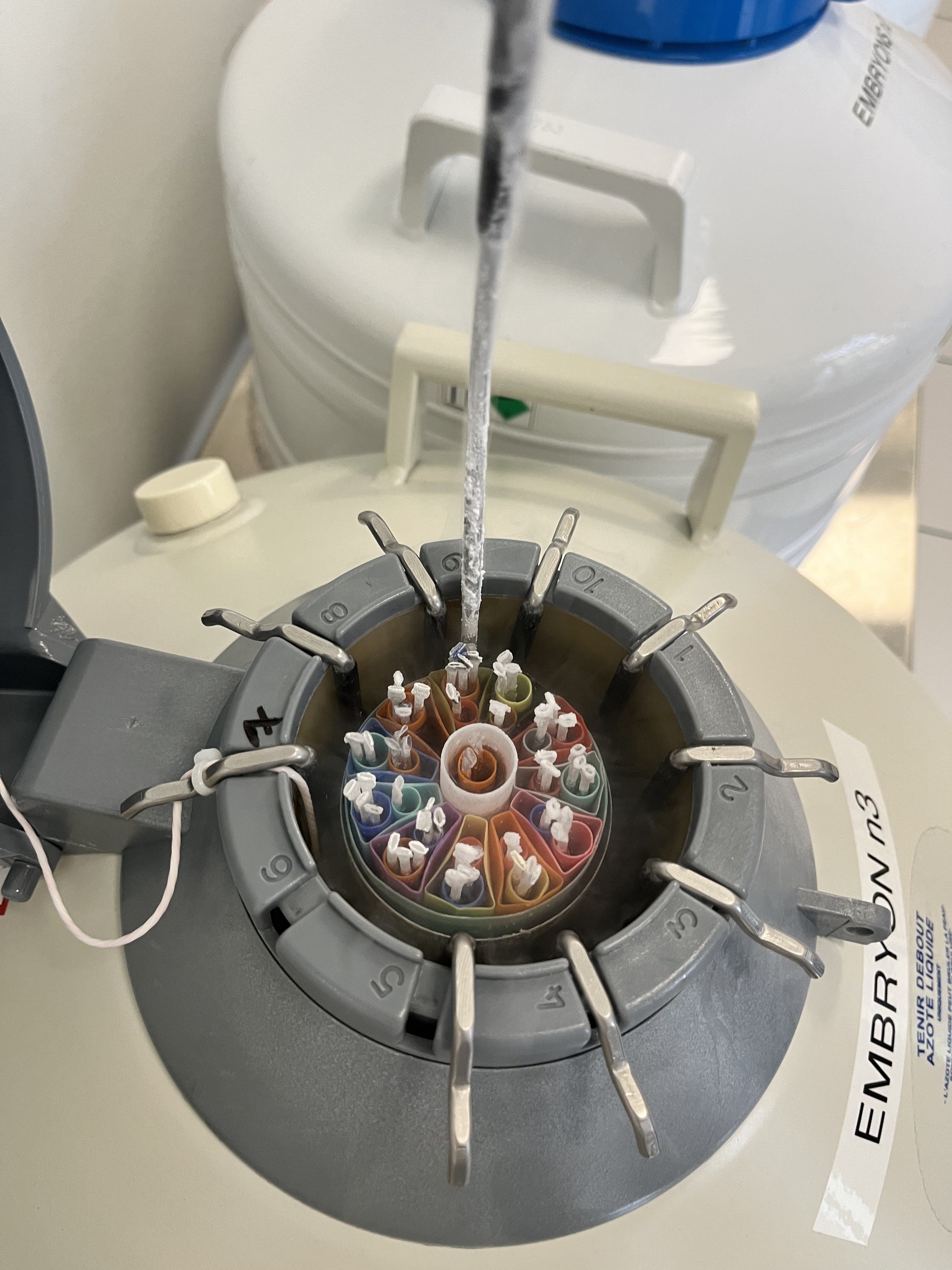 Vitrification d'embryons